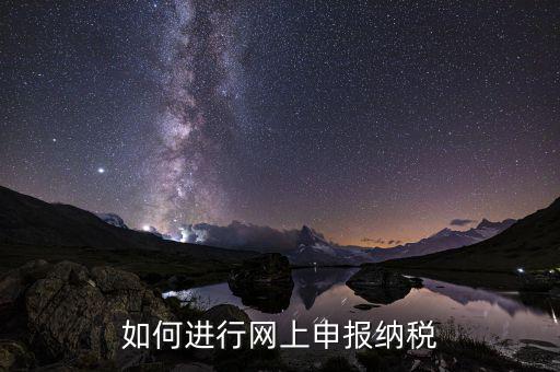 如何設(shè)置稅務(wù)網(wǎng)站，如何進(jìn)行網(wǎng)上申報納稅