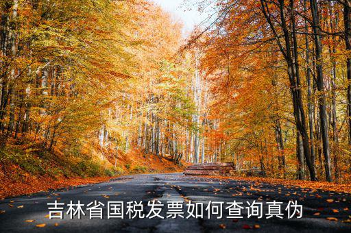 吉林如何查發(fā)票真?zhèn)尾樵?，吉林省?guó)稅發(fā)票如何查詢真?zhèn)?/></a></span><span id=