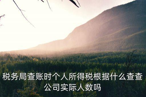 稅務局查賬時個人所得稅根據(jù)什么查查公司實際人數(shù)嗎