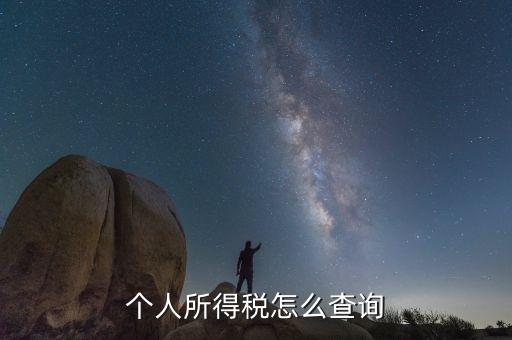 如何查詢個人稅務(wù)信息查詢，怎樣查詢個人所得稅