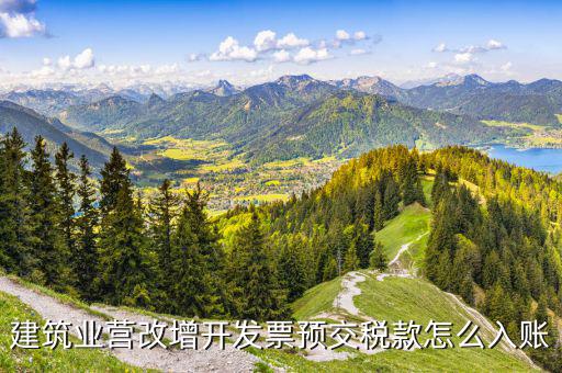 建筑行業(yè)開票前如何預(yù)交稅金，建筑業(yè)開發(fā)票了但沒有在當(dāng)?shù)仡A(yù)交稅款怎么申報(bào)