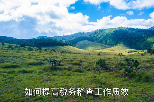 如何提高國(guó)稅稽查工作質(zhì)效，如何提高稅務(wù)稽查工作質(zhì)效