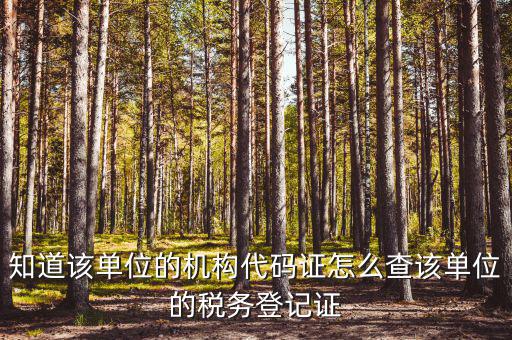 如何查企業(yè)稅務(wù)局登記，公司的稅務(wù)登記證號怎么查詢