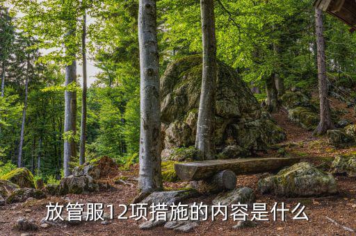 在放管服中如何加強審計稽察，放管服12項措施的內(nèi)容是什么
