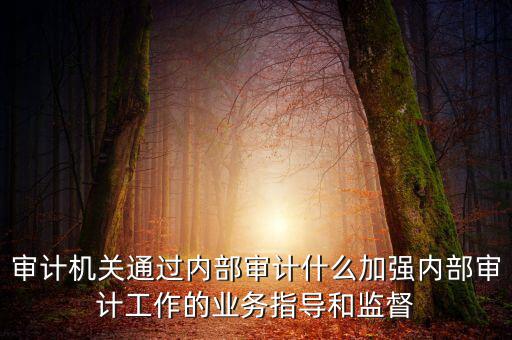 如何進(jìn)一步加強(qiáng)督察內(nèi)審工作，如何加強(qiáng)紀(jì)檢監(jiān)察系統(tǒng)內(nèi)部監(jiān)督管理