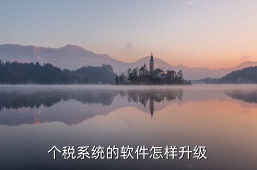 稅務(wù)系統(tǒng)如何升級(jí)1128，稅控發(fā)票開票系統(tǒng)稅控盤怎么升級(jí)