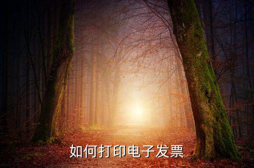 如何將電子發(fā)票，發(fā)票怎么以電子形式發(fā)給