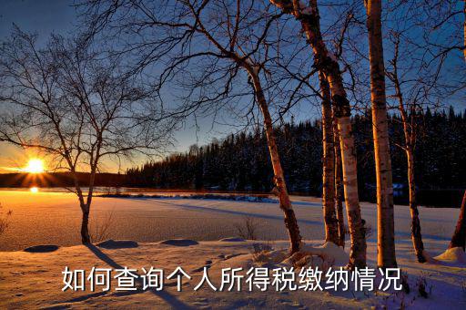 如何查詢自己交稅情況，個(gè)人繳稅記錄怎么查詢