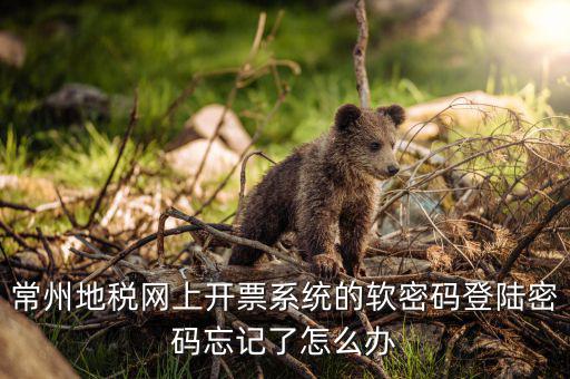 江蘇省電子稅務(wù)局如何找回密碼，稅務(wù)電子申報軟件密碼忘記該怎么辦