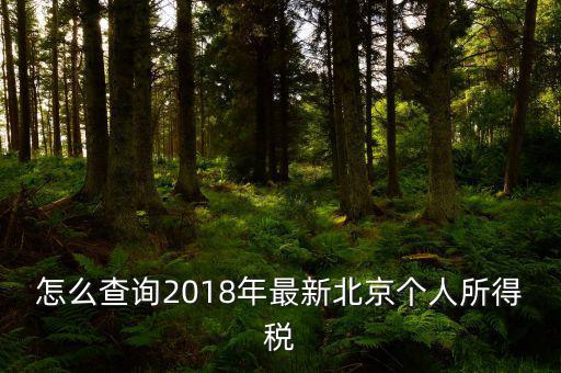 北京如何查詢個(gè)稅完稅證明，怎么查詢2018年最新北京個(gè)人所得稅
