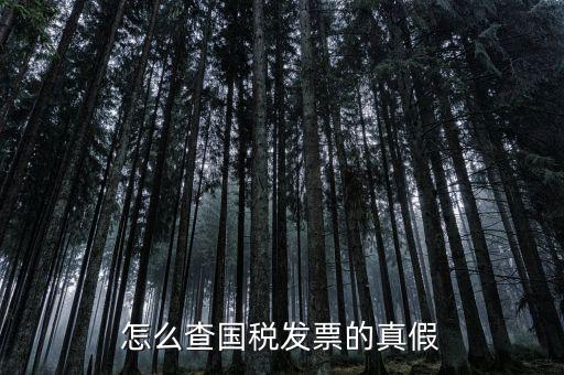 國稅如何驗(yàn)證發(fā)票，增值稅發(fā)票網(wǎng)上怎么認(rèn)證