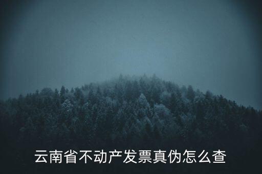 不動產(chǎn)統(tǒng)一發(fā)票如何查詢真?zhèn)危N售不動產(chǎn)統(tǒng)一發(fā)票真假怎么辨別