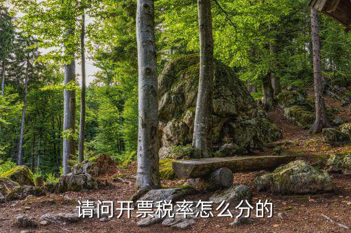 開票如何選擇稅率，未達到起征點開具普通發(fā)票稅率怎么選擇