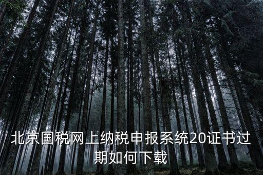 北京國(guó)稅網(wǎng)站如何更新，如何在國(guó)稅網(wǎng)上更新公司的信息