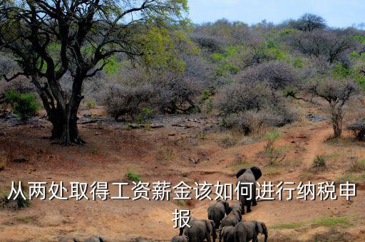 多出取得工資 如何申報個稅，個人多處取得所得如何申報繳納個稅