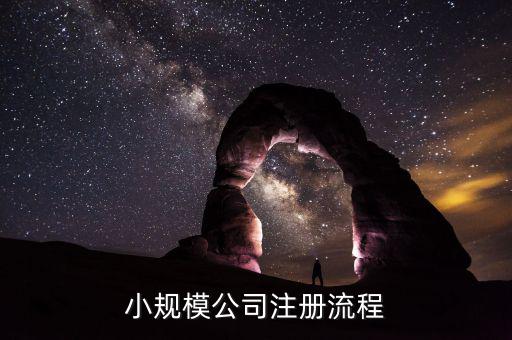 辦理小微企業(yè)如何申請流程，小規(guī)模公司注冊流程