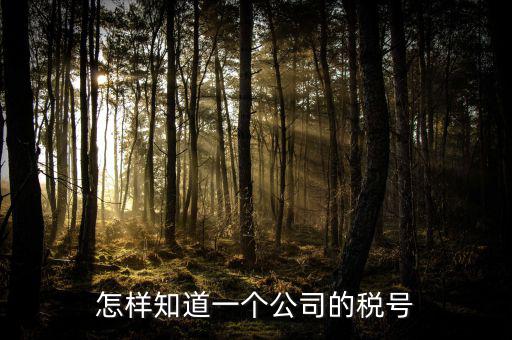 單位稅號(hào)如何查詢，知道公司名字怎么查稅號(hào)嗎