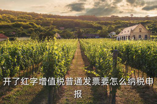 紅字進(jìn)項(xiàng)如何申報(bào)，開了紅字增值稅普通發(fā)票要怎么納稅申報(bào)