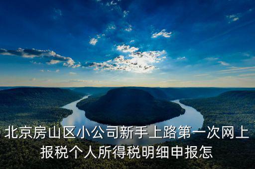 北京市網(wǎng)上稅務(wù)局如何報(bào)稅，北京稅務(wù)局網(wǎng)上報(bào)到怎么操作