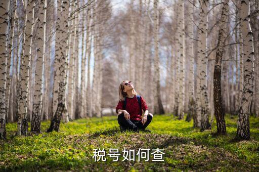 武漢如何查公司稅號，有誰知道公司名怎么查公司稅號