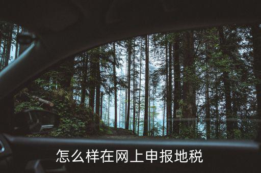 地稅網(wǎng)站如何注冊(cè)，地稅網(wǎng)上申報(bào)注冊(cè)怎么操作