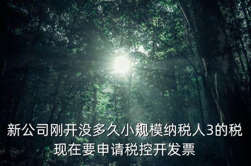 如何申請(qǐng)稅控和發(fā)票，怎樣申請(qǐng)發(fā)票和裝稅控
