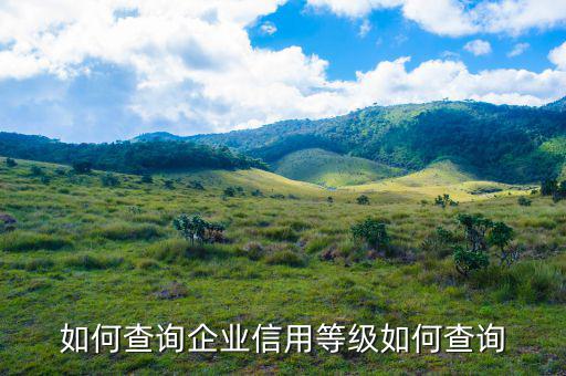 如何查詢企業(yè)是否a級(jí)，如何查詢企業(yè)信用等級(jí)如何查詢