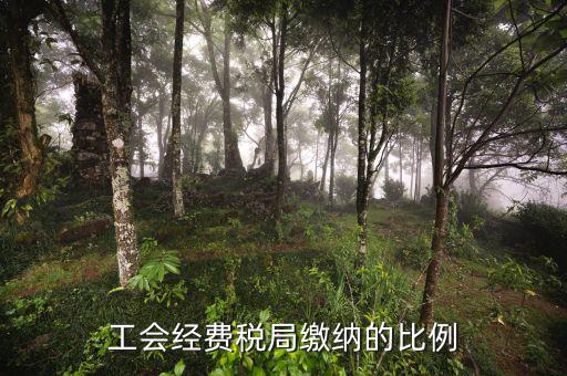 稅局代收的工會(huì)經(jīng)費(fèi)應(yīng)如何交納，稅務(wù)局代收的工會(huì)經(jīng)費(fèi)怎么交
