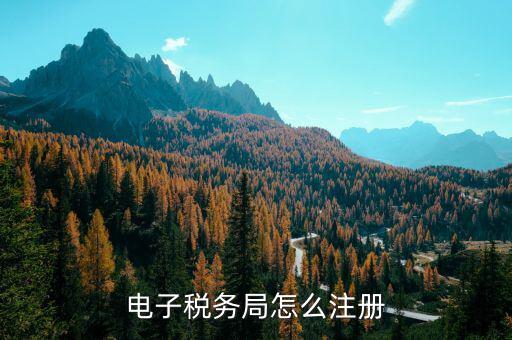 如何注冊(cè)福建電子稅務(wù)局賬號(hào)，電子稅務(wù)局怎么注冊(cè) 電子稅務(wù)局注冊(cè)流程