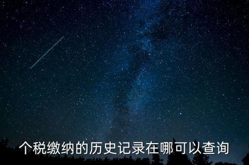 如何查詢個(gè)人所得稅的繳費(fèi)記錄，個(gè)稅繳納的歷史記錄在哪可以查詢