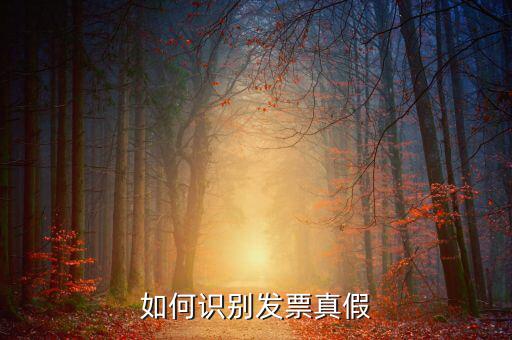 深圳國稅局發(fā)票如何查詢真?zhèn)尾樵?，如何在認證前查驗發(fā)票真?zhèn)?/></a></span><span id=