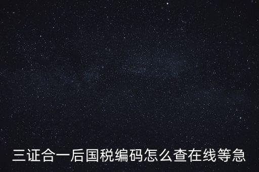 如何查詢個人稅務(wù)編號查詢系統(tǒng)，請問在哪里可以查到納稅人編碼