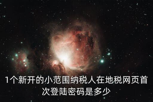 地稅ca如何登錄密碼是多少錢，1個新開的小范圍納稅人在地稅網(wǎng)頁首次登陸密碼是多少