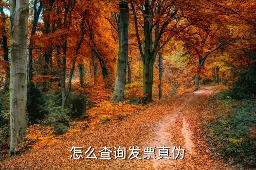 上網(wǎng)如何查詢發(fā)票真?zhèn)?，怎樣才能在網(wǎng)上驗(yàn)證發(fā)票的真假