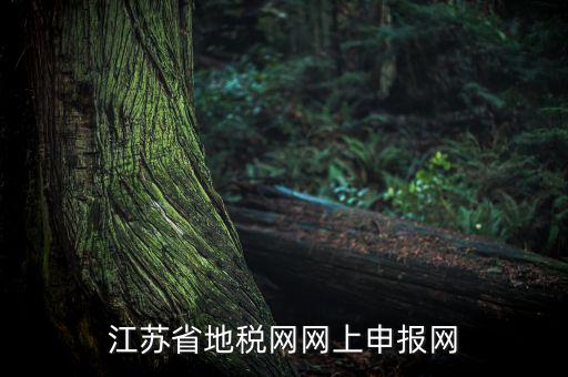 江蘇如何網(wǎng)上報(bào)稅，現(xiàn)在江蘇能不能進(jìn)行網(wǎng)上抄報(bào)稅