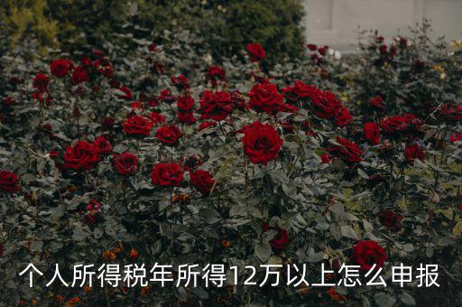 陜西地稅 12萬以上如何申報(bào)，個人所得稅年所得12萬以上怎么申報(bào)