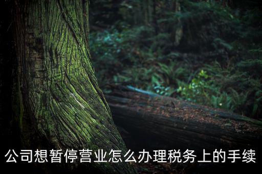 北京市如何辦理單位稅務(wù)暫停，企業(yè)暫停營業(yè)怎么辦理