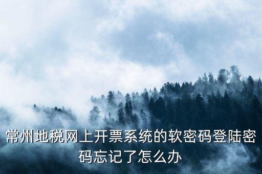 常州地稅網上開票系統(tǒng)的軟密碼登陸密碼忘記了怎么辦