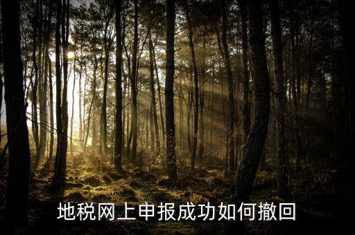 地稅網上已預約如何取消預約，地稅網上申報成功如何撤回