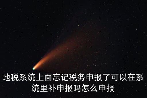 地稅如何補(bǔ)充申報(bào)表，地稅系統(tǒng)上面忘記稅務(wù)申報(bào)了可以在系統(tǒng)里補(bǔ)申報(bào)嗎怎么申報(bào)