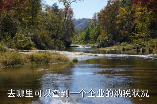 如何查詢(xún)企業(yè)納稅，去哪里可以查到一個(gè)企業(yè)的納稅狀況