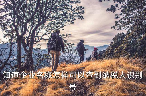 如何查詢到企業(yè)納稅人，知道企業(yè)名稱怎樣可以查到納稅人識(shí)別號(hào)