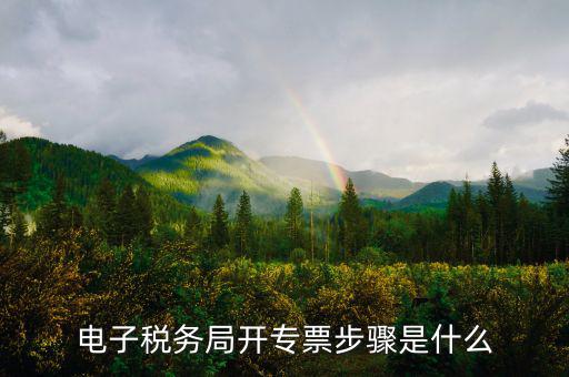 山西省稅務局網上如何開專票，如何開增值稅專用發(fā)票