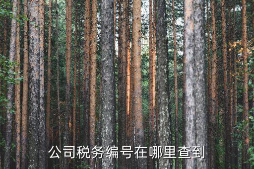 如何查遼寧省國(guó)稅局納稅識(shí)別號(hào)，跪求 在哪點(diǎn)能查詢到納稅人識(shí)別號(hào)