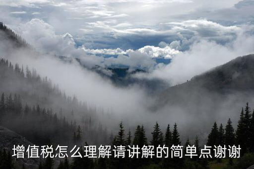 納稅人如何認識增值，增值稅的理解