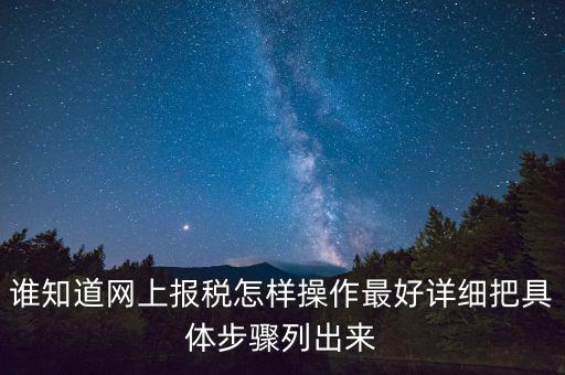 如何進行網(wǎng)上納稅申報，如何進行網(wǎng)上申報稅款