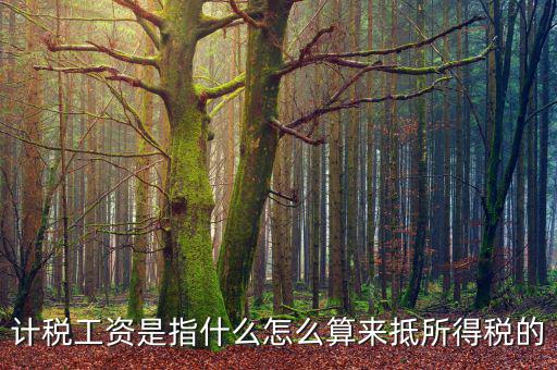 工資如何抵扣所得稅，企業(yè)所得稅工資抵扣的一些訣竅