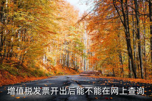 如何查詢發(fā)票完稅，稅控軟件上已經(jīng)開的發(fā)票怎么查詢