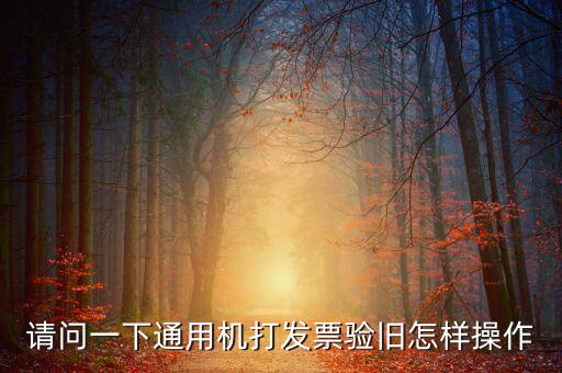 定額通用發(fā)票如何驗(yàn)舊，請問一下通用機(jī)打發(fā)票驗(yàn)舊怎樣操作