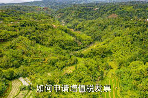 增值稅卷式發(fā)票如何申，新開公司如何申請(qǐng)?jiān)鲋刀惏l(fā)票